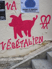 Cliquez sur la vignette pour l'agrandir